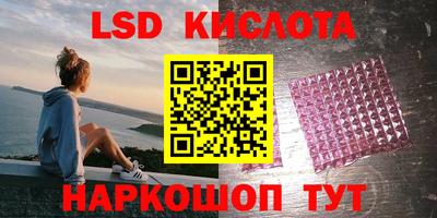 гидра Будённовск