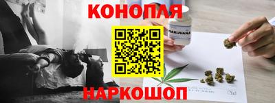 гидра Будённовск