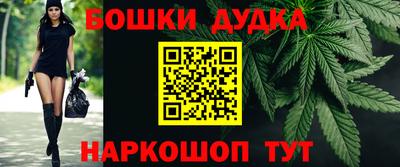 гидра Будённовск