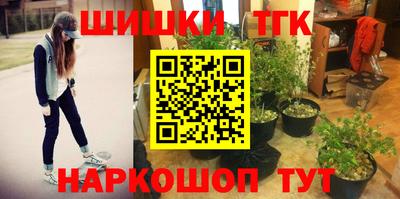 гидра Будённовск